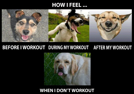 JohnSavidisCA's tweet photo. LOL we ALL make these faces! https://t.co/aDXu3V5yj7