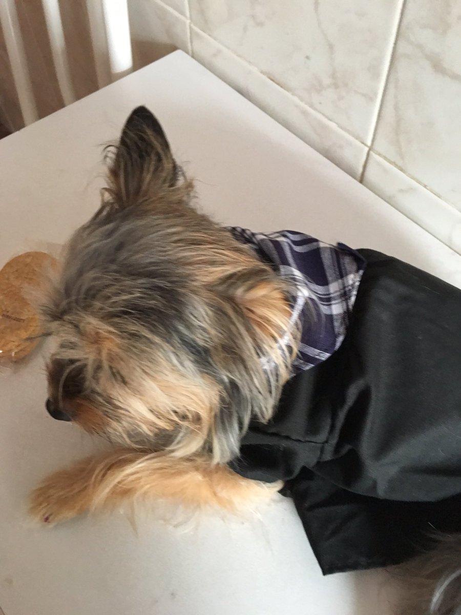 铃木奈雪 tweet media