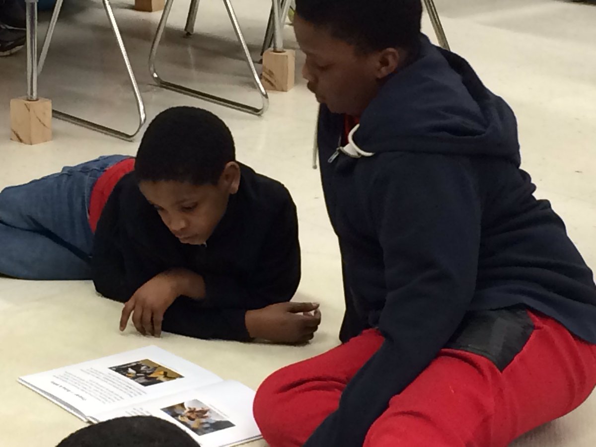zreadingteacher's tweet photo. 5th and 3rd sharing their informational books and ideas! #kmdolphins https://t.co/pIJY5bIA1a
