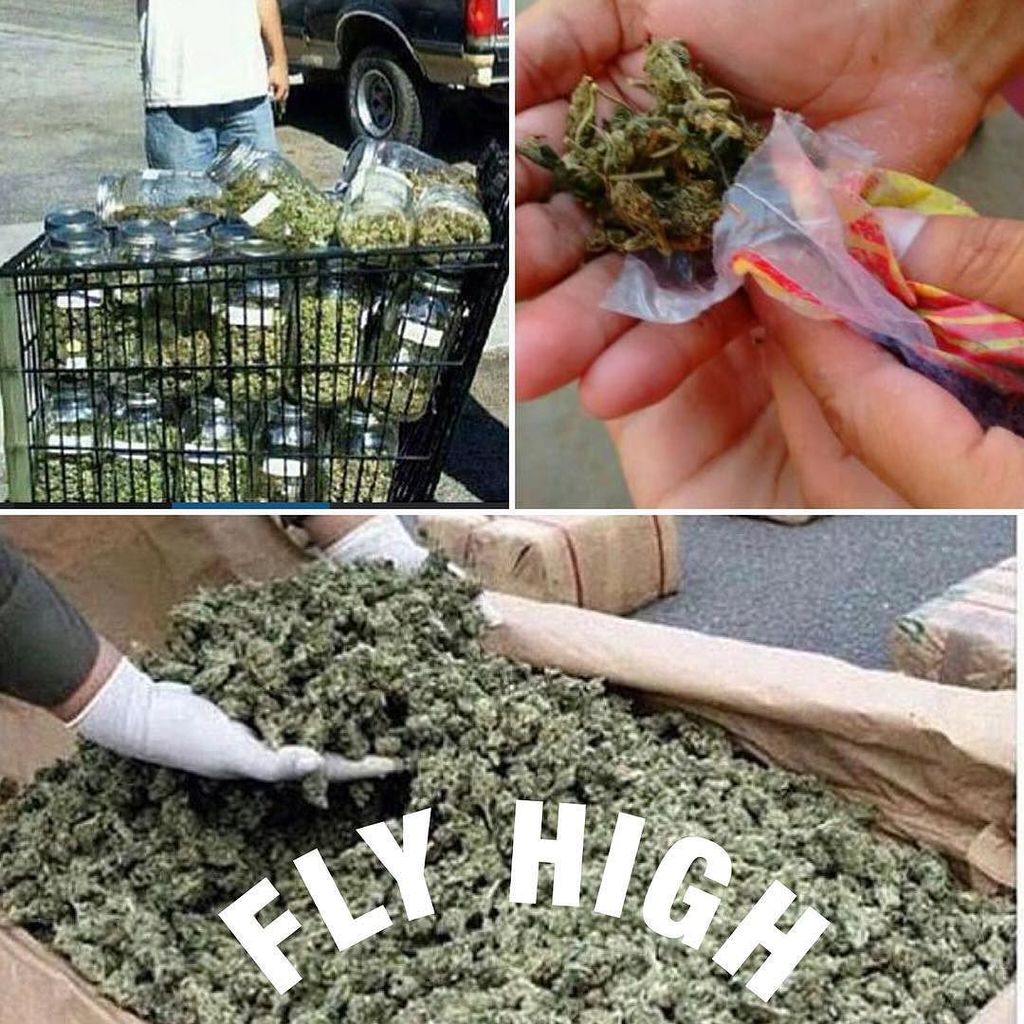 applejuice14431's tweet photo. Keep Calm and Fly High!

#weedmontana #stoner #stoners #dabs #cannabis #weeds #weedlover #weedevent #blunt #bong #g… https://t.co/GRko98rd8J