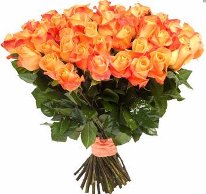 frejaplus's tweet image. freyja.su/buketi-iz-51-r…