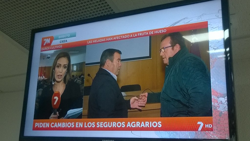 ALEJOJesusLucas's tweet photo. La compañera @RocioPardoOrtiz informando en directo en Cieza por daños de heladas @La7Noticias @La7_tv @COAGIRMurcia https://t.co/ooEKHOeR4R