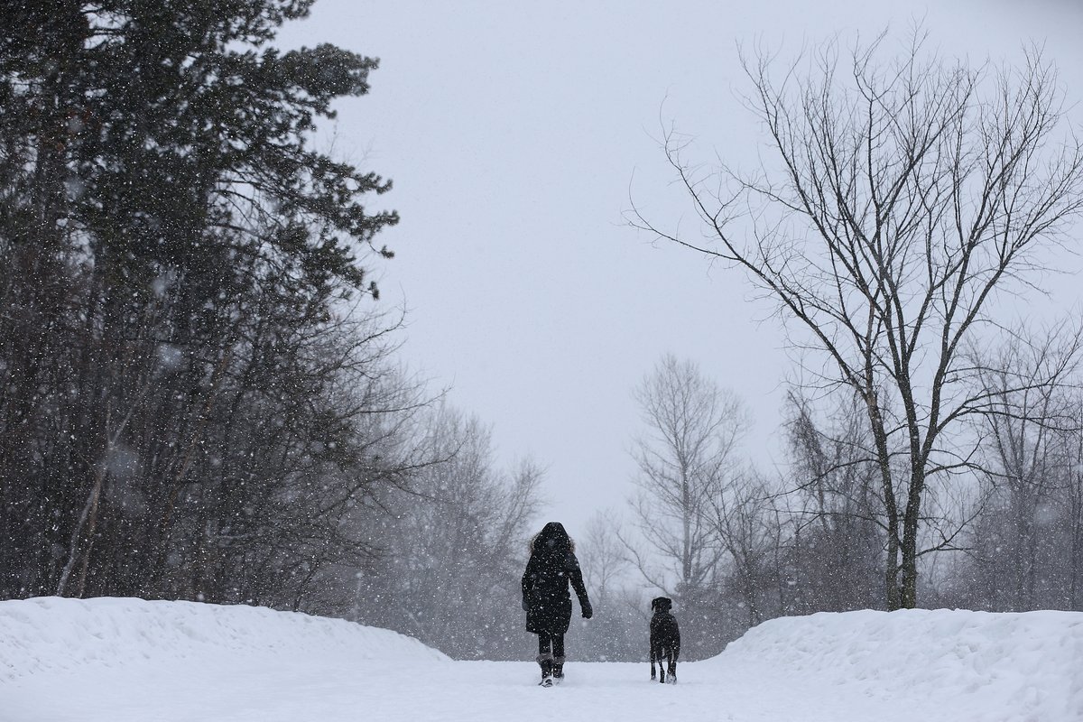 tonysunphoto's tweet photo. Walking dogs in stormy #winter weather at #conroypit in #Ottawa Wednesday. #ottnews #ottweather #dogs #dogs https://t.co/3tLsaz6jBC