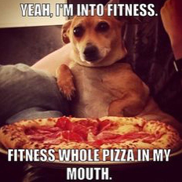 SumoCrate's tweet photo. Can you fitness in? https://t.co/YqySVCKFzB

#fitness #workouts https://t.co/GiEPdfgQr5