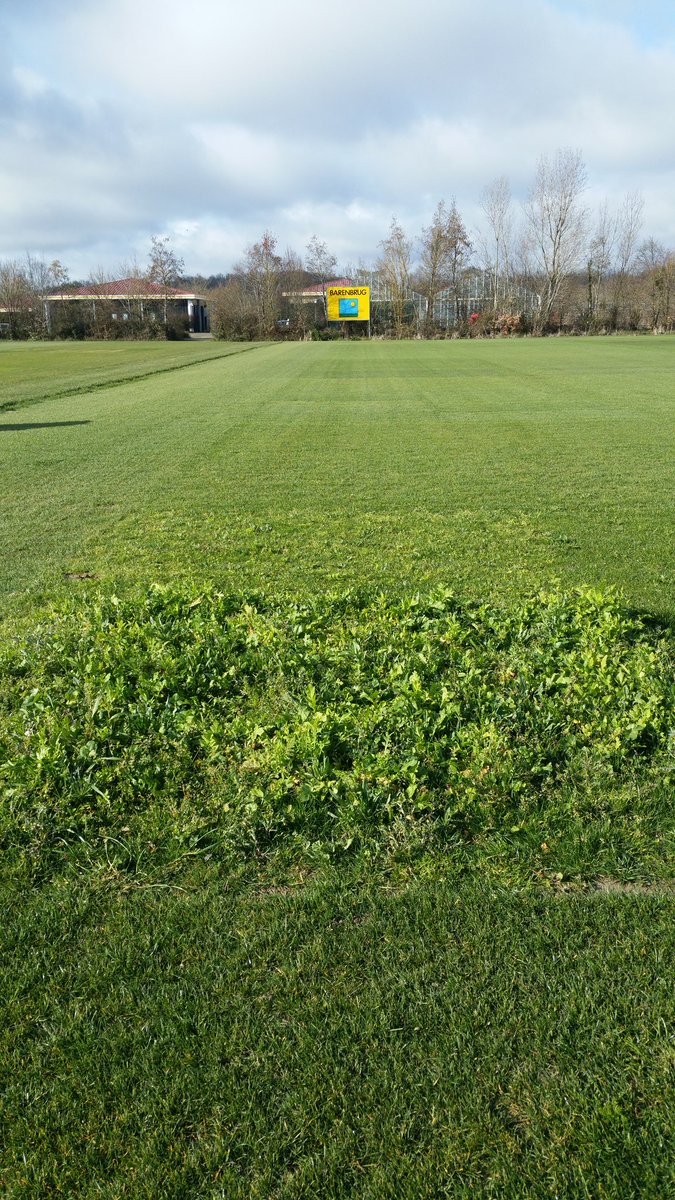 cros_barenbrug's tweet photo. #Barenbrug #MasGrenier82 #Plateforme #Selection #Recherche # Pro Nature #Fevrier2016 https://t.co/PexWkJPYhD