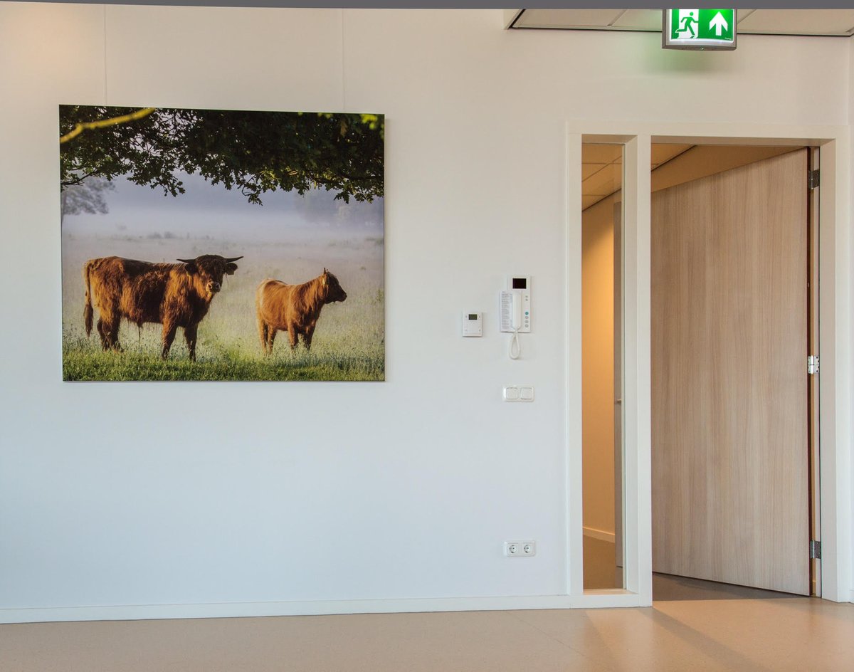 printyourmoment's tweet photo. Prachtige foto van @HKnatuurfoto geprint op textiel opgespannen in een aluminium frame. #textielframe https://t.co/M5yEZZDZBb