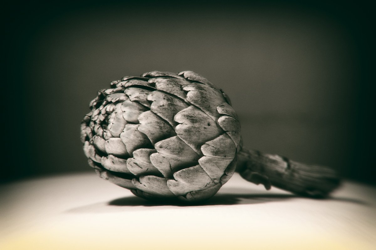 josep_palome's tweet photo. Dieta fotogràfica de la #carxofa #alcahofa #artichoke #artichaut
#foodphotography
#Monochrome https://t.co/I6dpih3M0o