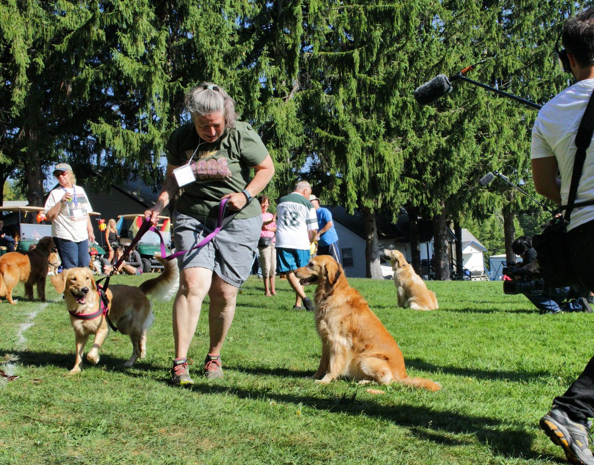 DogCampDoc tweet picture