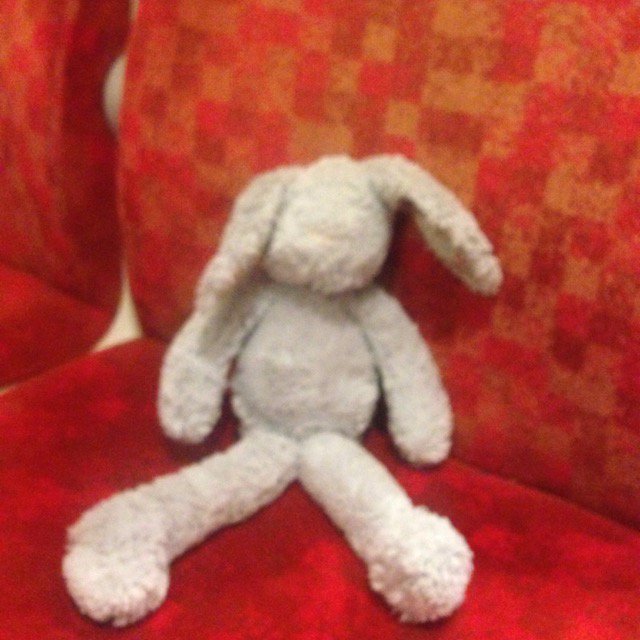 NacNicola's tweet photo. Anyone missing a bunny?? Left on the @VirginTrains 17.57 EUS-LAN Friday just gone, poor thing #rabbitgate https://t.co/FokNJCQL85