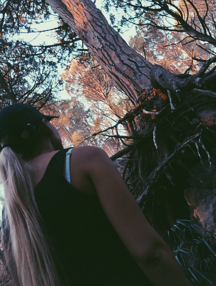 CocoLeRiche's tweet photo. Mid week adventures 🌲 https://t.co/18NajoSe8t