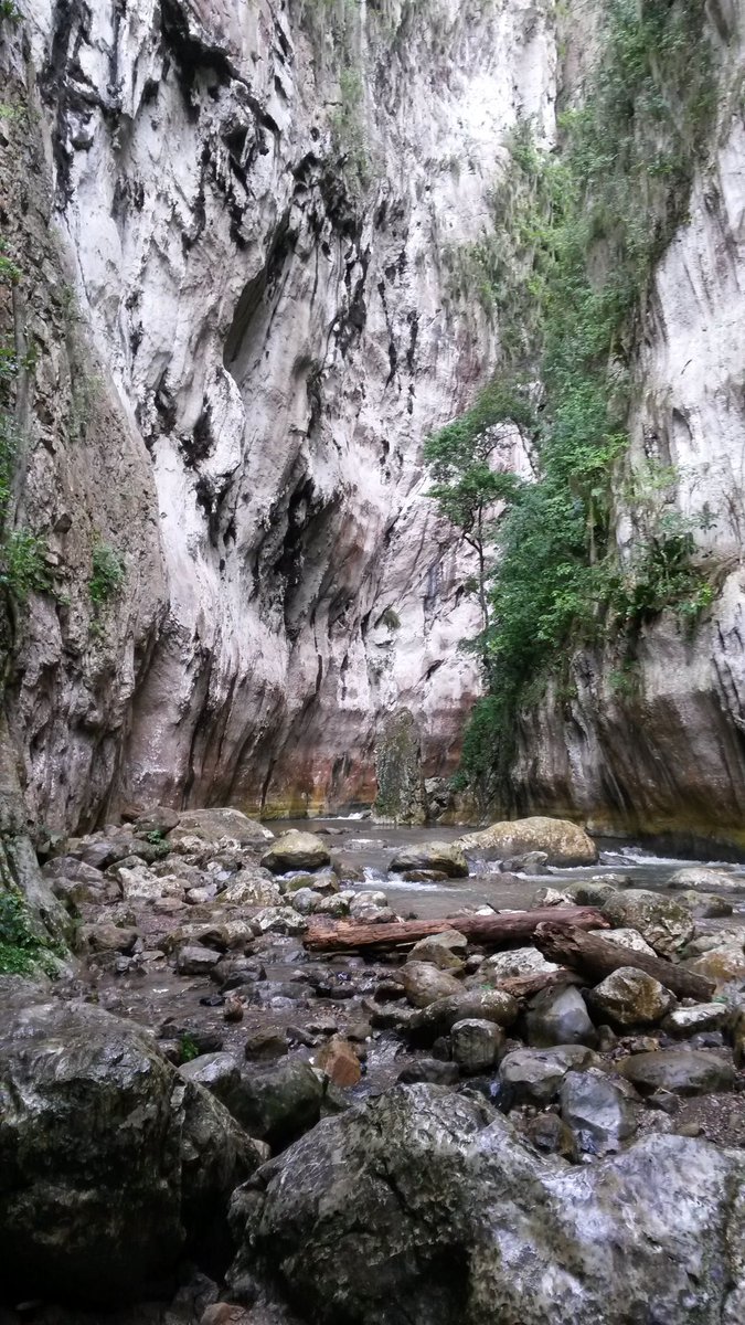 webnotitarde's tweet photo. Vive una aventura en los paisajes que te ofrece el estado #Monagas (Fotos)  https://t.co/UGAld8N7Ro https://t.co/UT5a7v2Rux