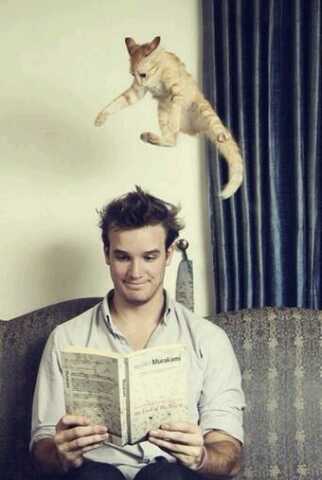 cliffping's tweet photo. hi @ShadowsWhiskers @EdgarEraspuss @bnr7403 https://t.co/GoZDuuCnir