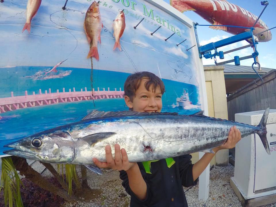 Southern_Fin's tweet photo. Safe to say he was a happy camper to finally catch his first wahoo :) https://t.co/POtXAhOmtA