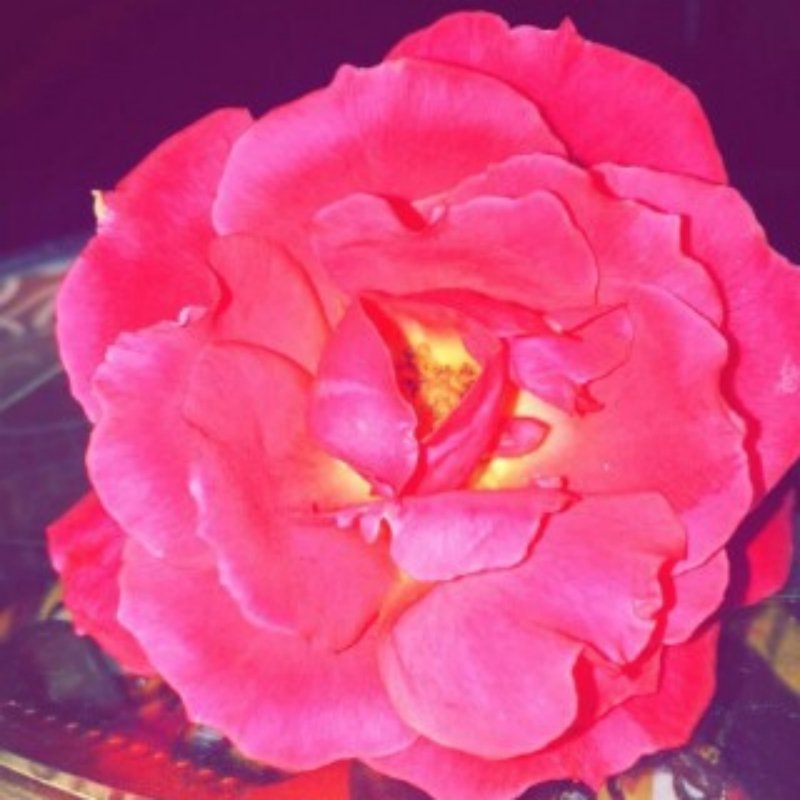 hand_future tweet picture