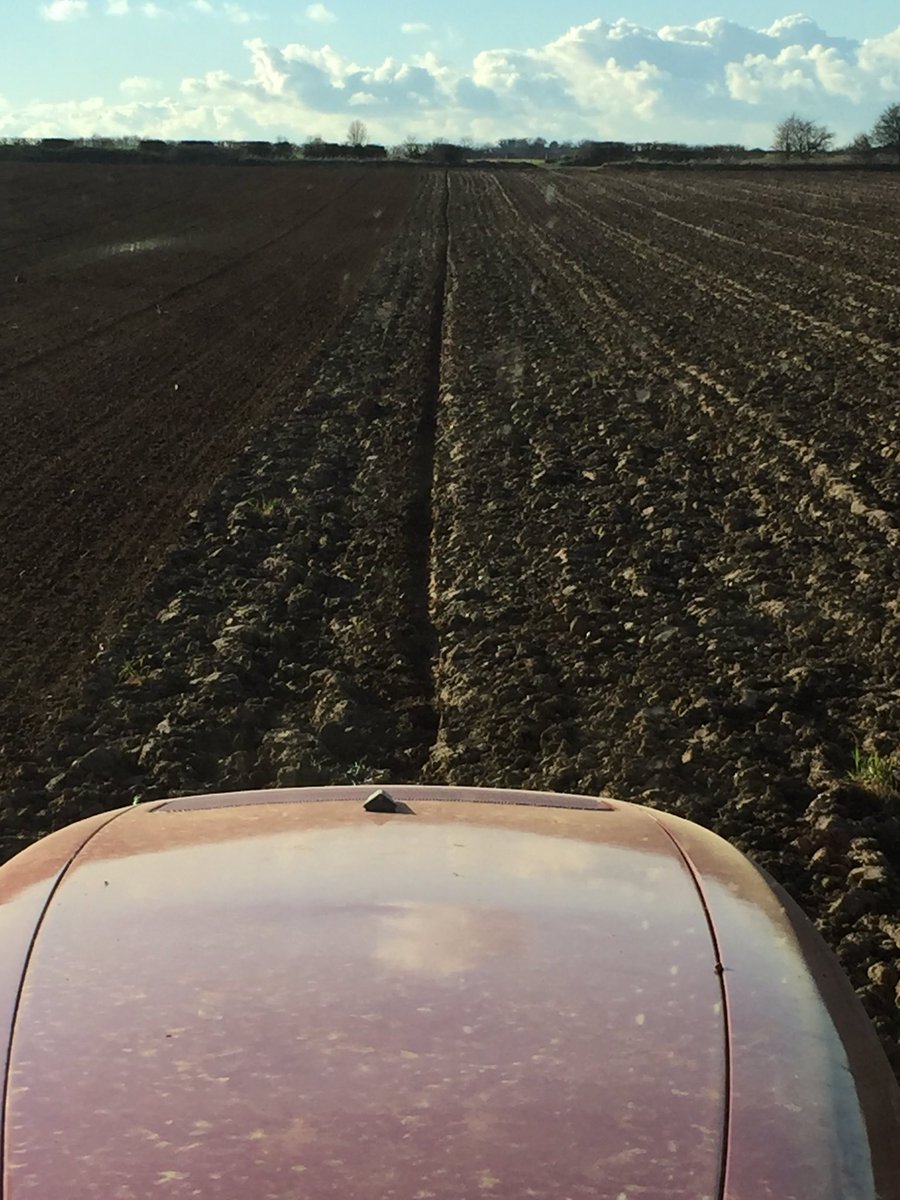 david_mattocks3's tweet image. 