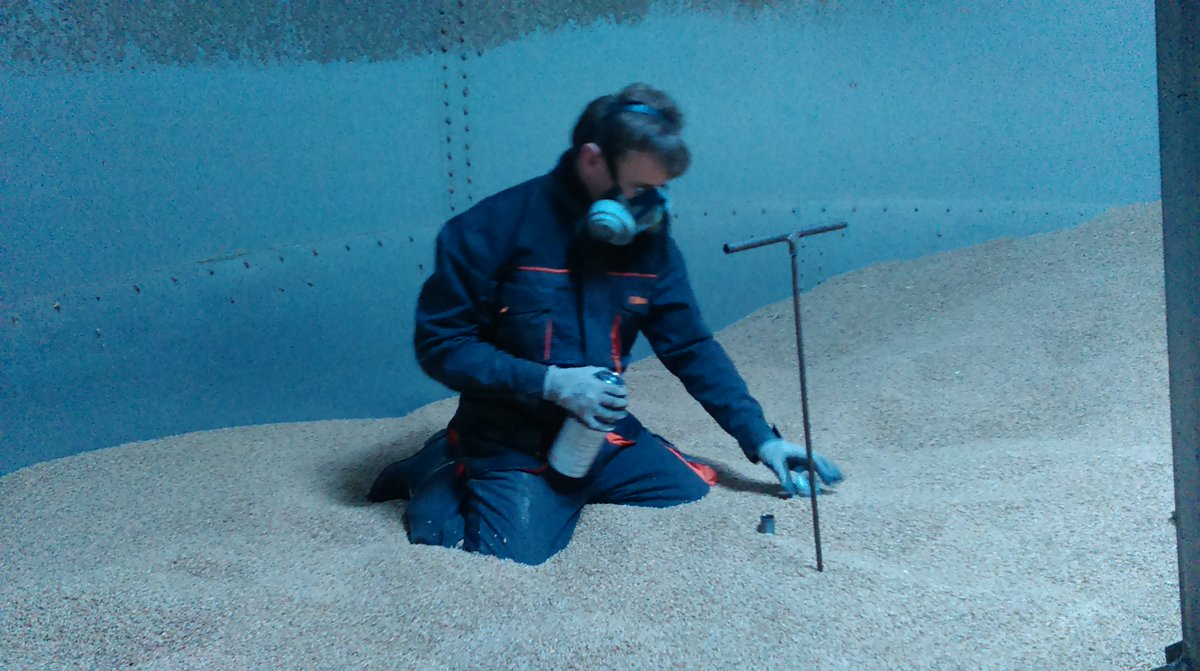 I have new blog includes articles about #pestControl and #fumigation 
deratyzacjabydgoszcz.mrowa.com.pl/2015/12/gazowa…
#fosfine #pests #blog