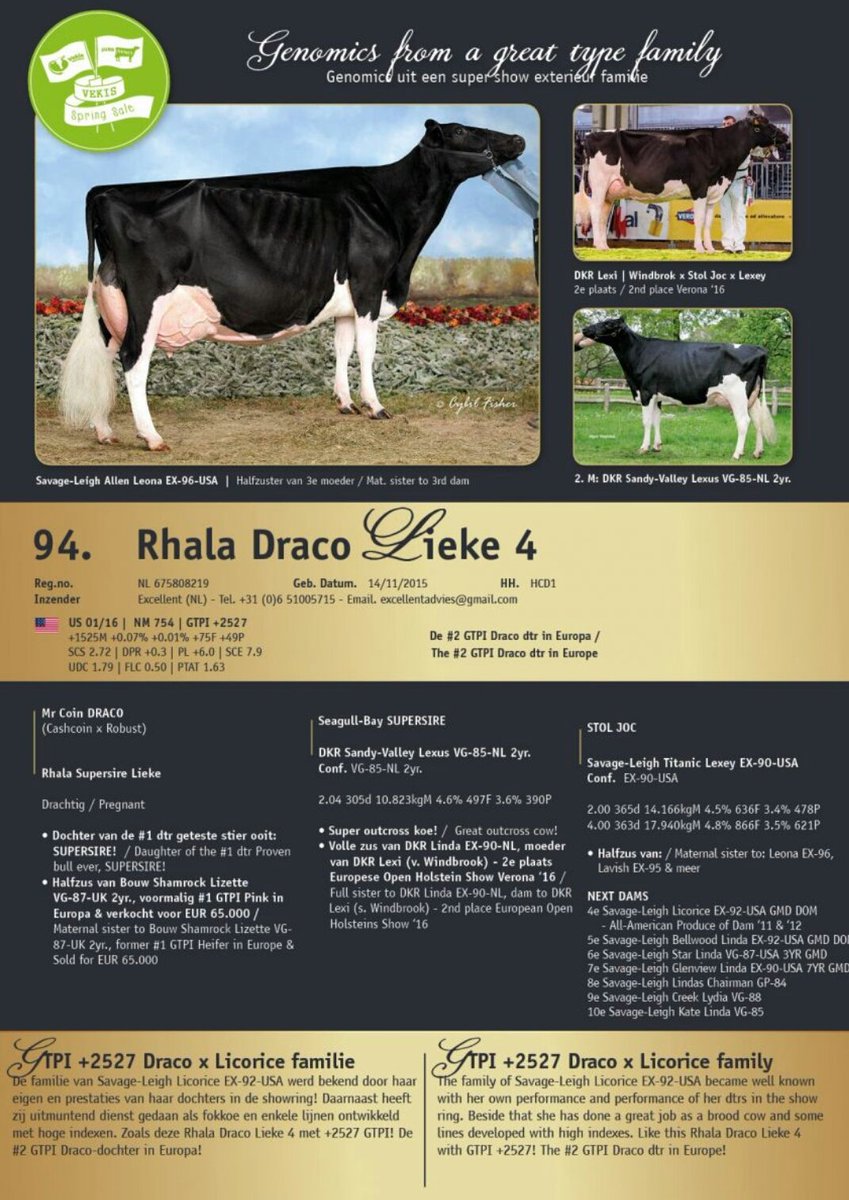 RvanderSteege's tweet image. #2 Draco in Europe selling at the Vekis Spring Sale 18th of March! vekisspringsale.com