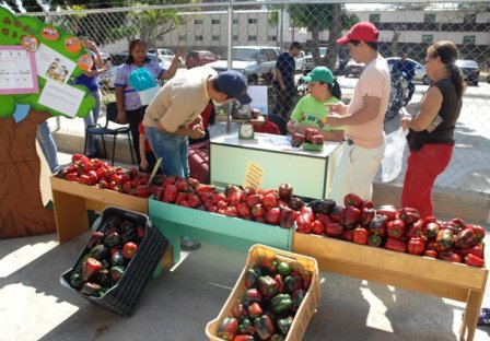 Realizaron feria de pimentones cosechados en el CEIN Ciudad Tiuna goo.gl/rPExhl