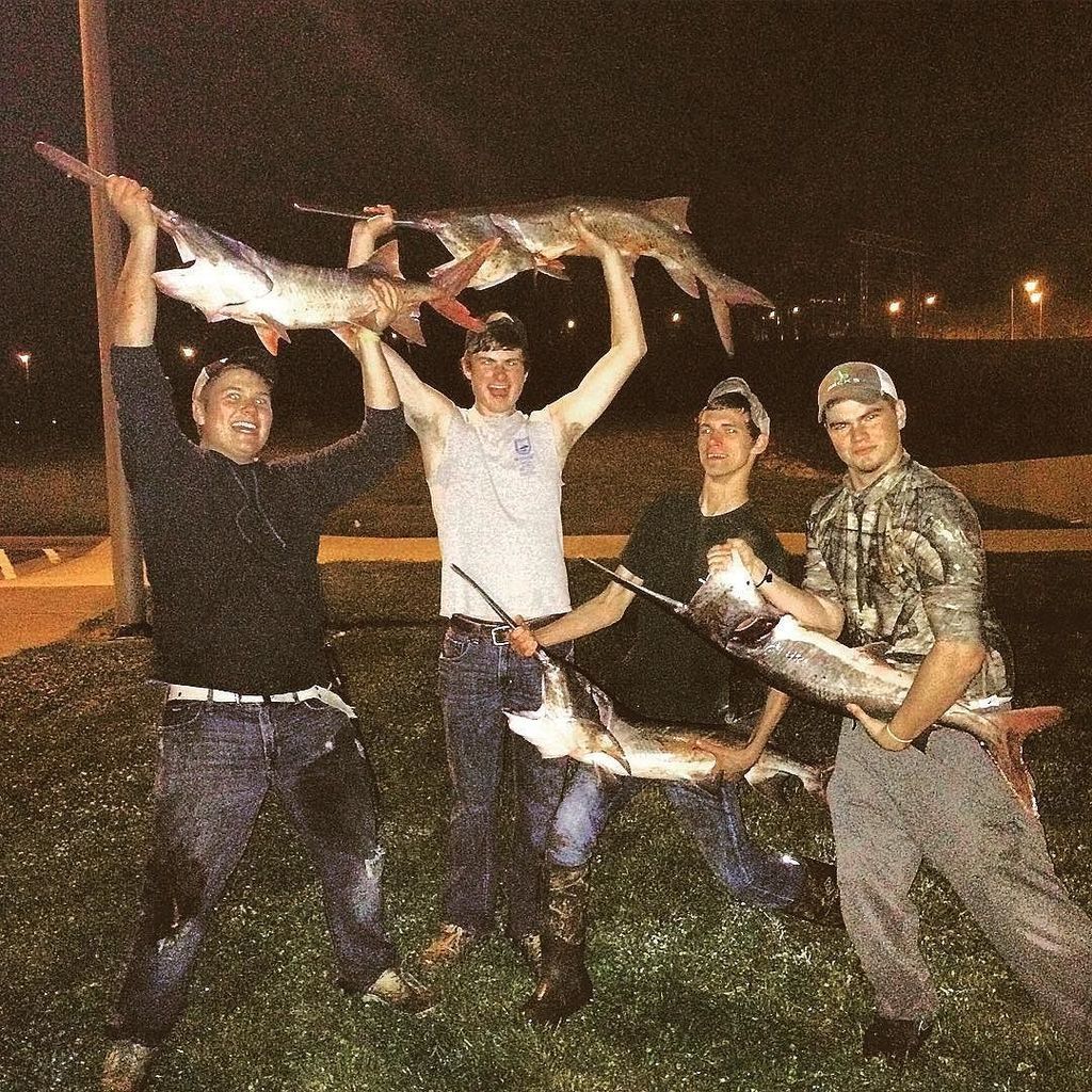 Bowfish247365's tweet photo. Fan Photo Submission by: wky_bowfishing > Goofing off with some spoons. #outdoors #bowfishing #wkybowfishing #amsbo… https://t.co/DKK3EnBQXf