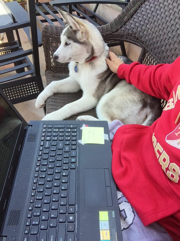 krunchrap's tweet photo. when you too broke to go to the cafe. #backyardcoffee #bayleythehusk 📖☕️🐶 https://t.co/nEftkFlesA