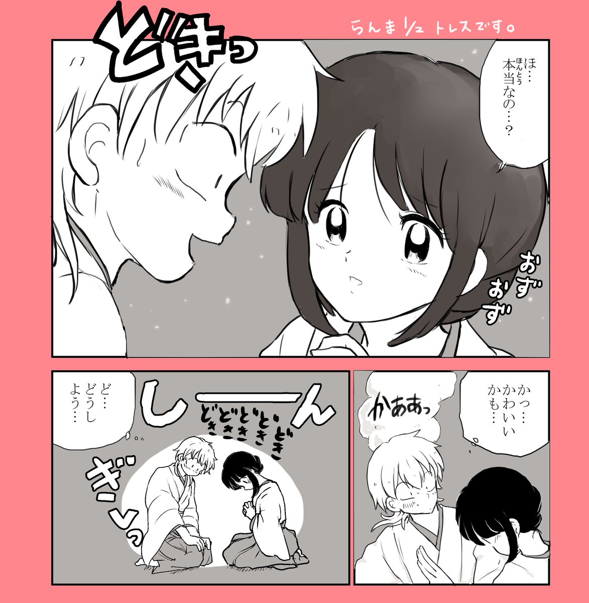 @tkhime_TL 特に意味もなくらんま1/2トレス鶴さに。うちでは似合わなかった。 