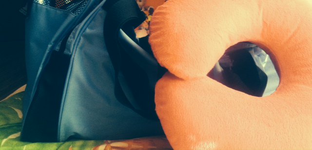 CCSFInsurance's tweet image. Planning a trip??  How can you stay healthy on the go??
chaseins.com/travel-health-…
#travel #airplanetravel #health