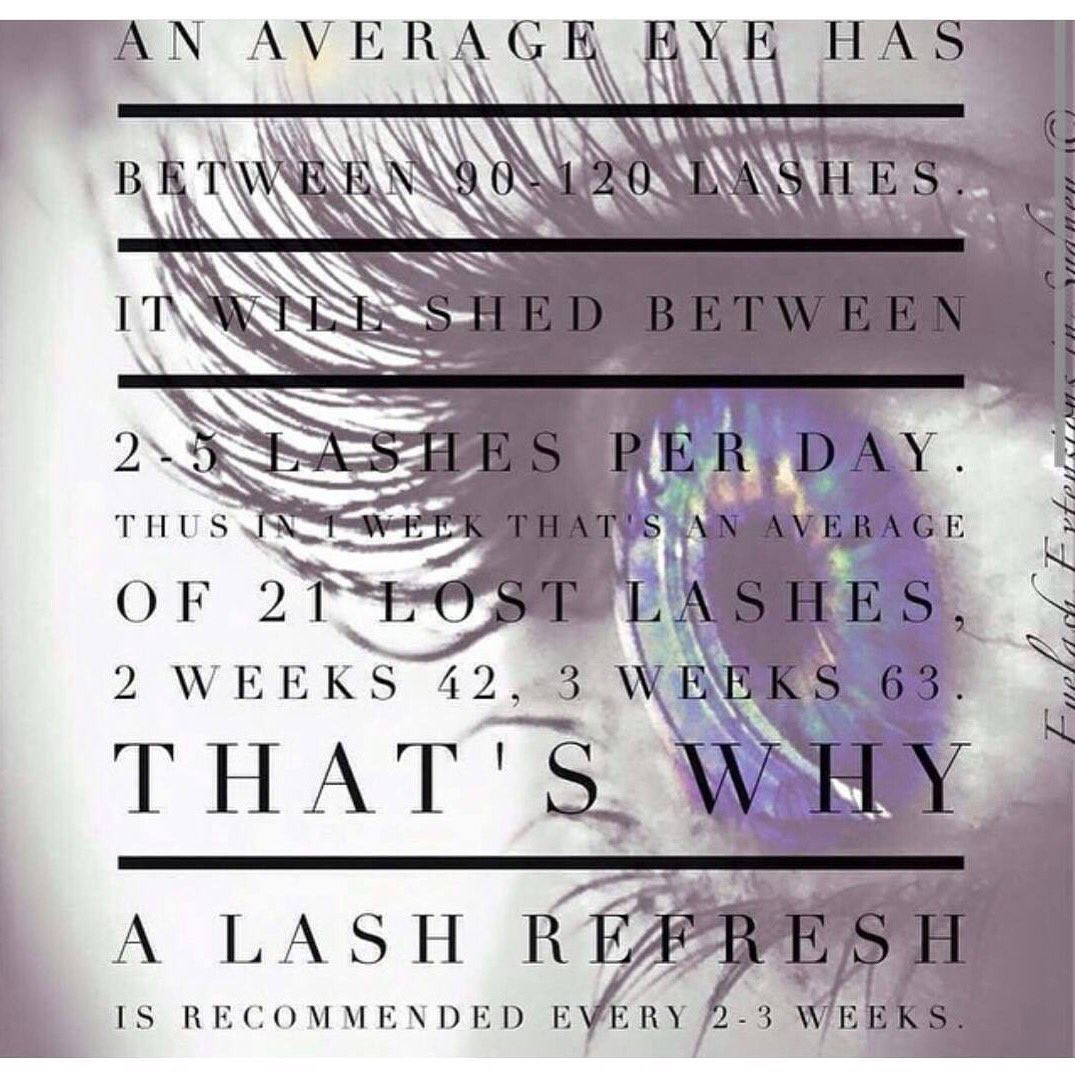 Dulce Lash Lounge (Lashes_by_Dulce) Twitter