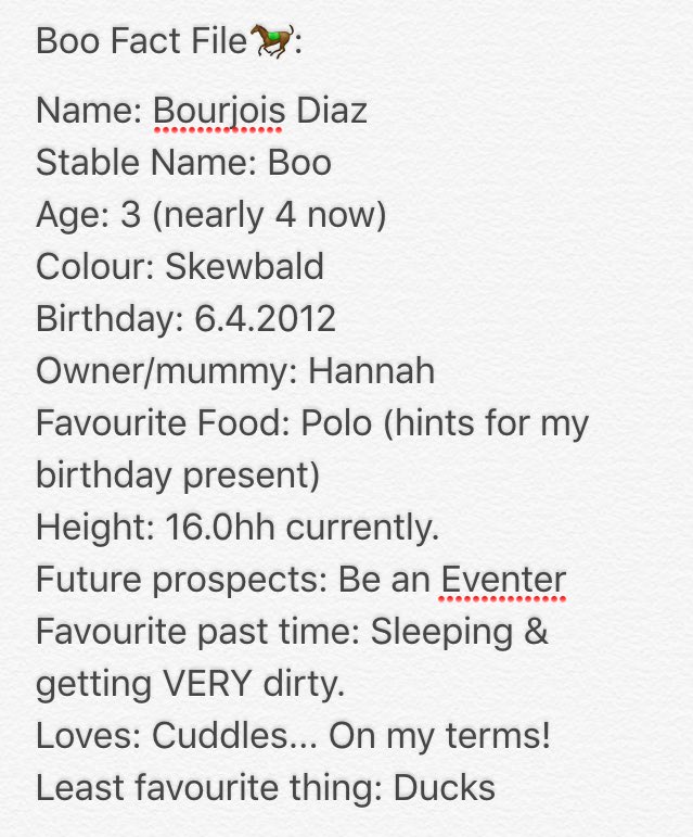 TheLifeofBoo's tweet image. Boo's Fact File is now up and running, so hopefully you are all equated 😝 #TheLifeOfBoo #EquineHour #equine