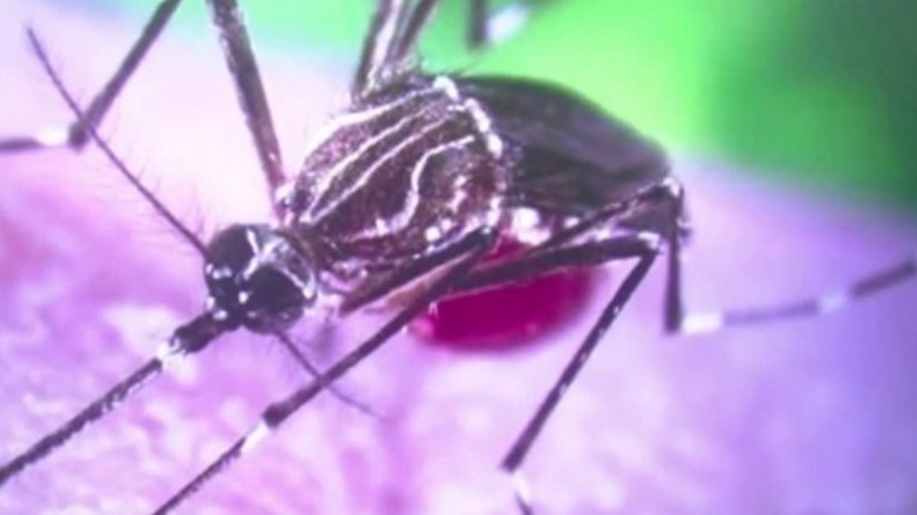 3 pregnant women in Florida contract Zika virus bit.ly/1XNkEjE?utm_me… https://t.co/ugzp44c0iO