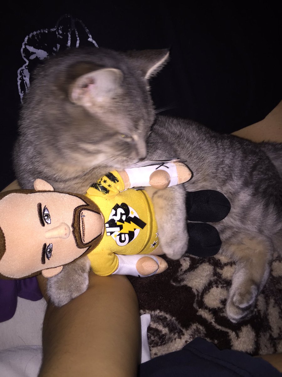 gabyalva03's tweet photo. My cats cuddle buddy. @CMPunk #cmpunk  #CatsOfTwitter #cats https://t.co/ZdOj012f1m