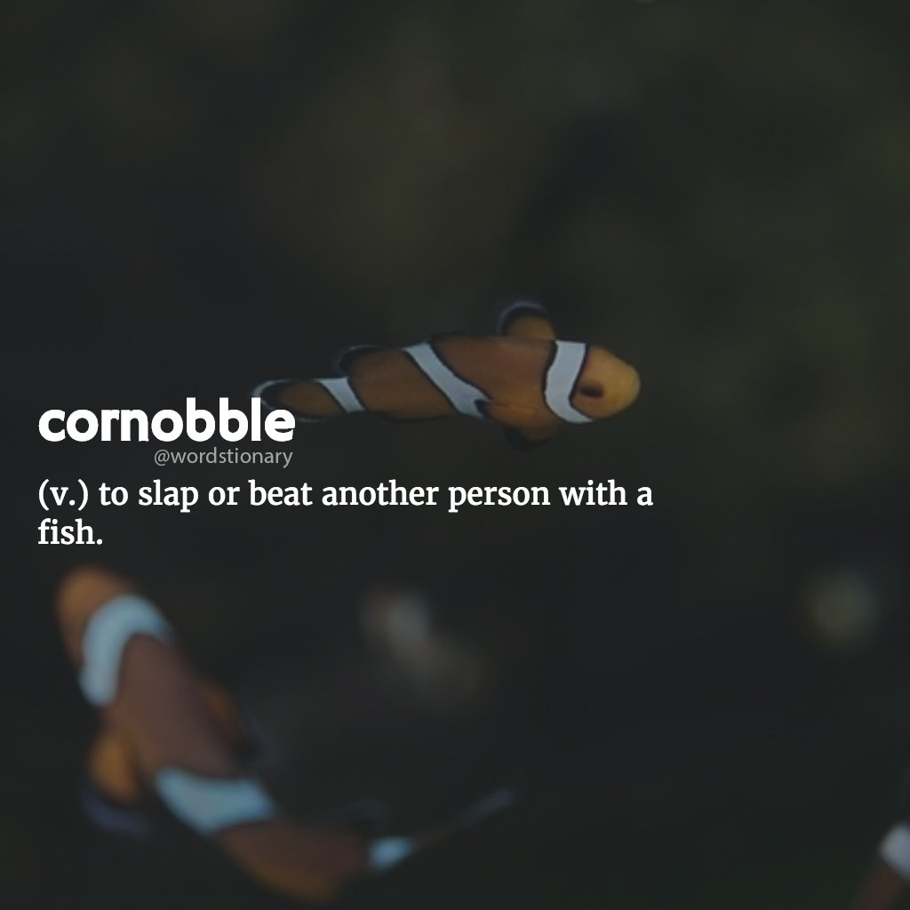 wordstionary's tweet photo. Cornobble https://t.co/USXbfaS7X5