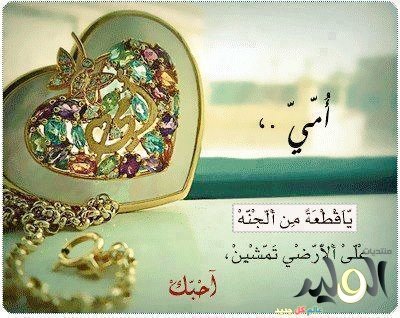 fishprojectm's tweet photo. اللهم احفظ لي امي التي لم ولن يهوى قلبي غيرها 😍😍 https://t.co/ukxD0xTCel