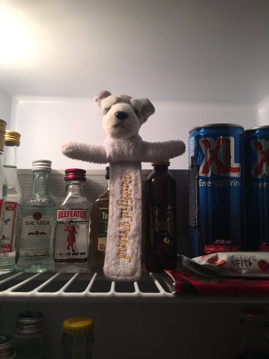 SchnauzMini's tweet photo. Things are looking up in Riga #MiniMiniBar https://t.co/WiQacb6LmZ