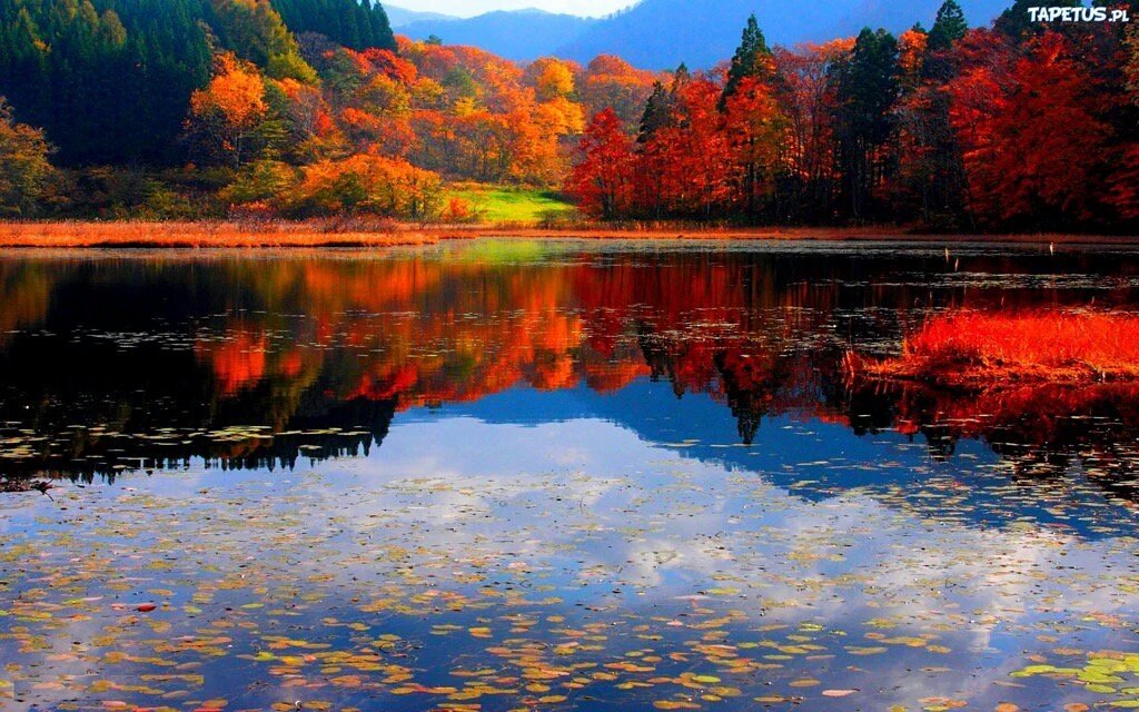 <a href="/NilhanClkmn/">Nilhan Çelikman</a> 
Thank you :-)) 🌷🌷