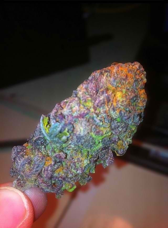 Rainbow Kush!