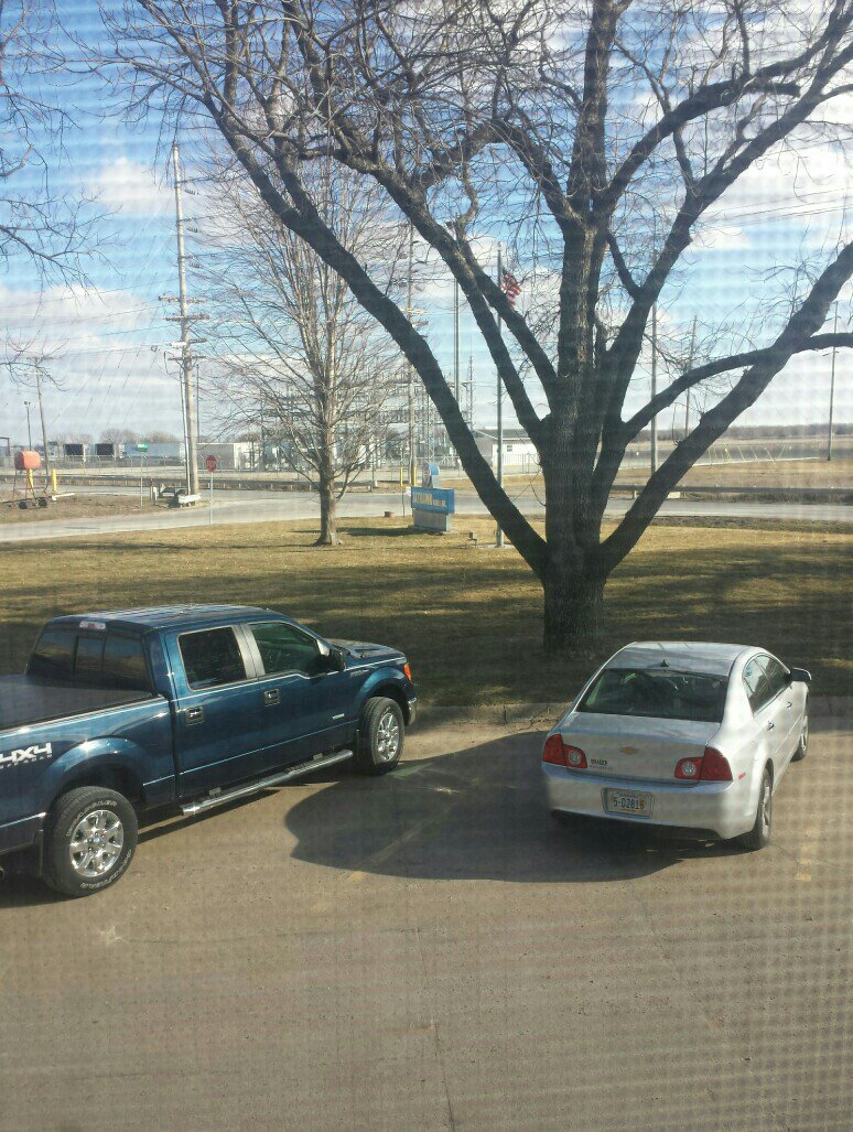 arlwink's tweet photo. Spring is around the corner  @DelPeterson https://t.co/Vy4Q1kLKRa