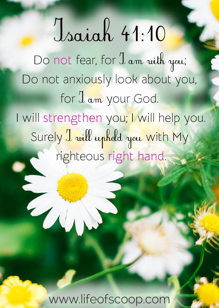alisontiemeyer's tweet photo. A beautiful truth! Claim it and believe it today! #isaiah41 #hopeinScripture #donotfear https://t.co/jryCwDXl0k
