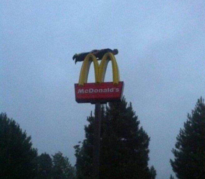 CauseWereGuys's tweet photo. 2010 was a simpler time https://t.co/yjdeUVn3hS