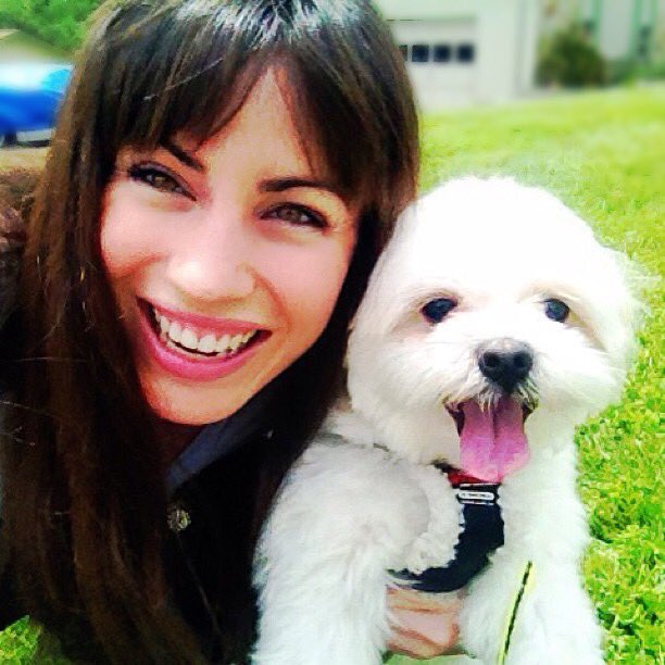 HaileyBright's tweet image. When your Dog makes you Laugh no matter what kind of day you are having. #cockapoo #puppy 

RT to your #BFF!