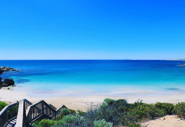 Theadelaideset's tweet photo. Take me here πβ± Shell Beach #TheAdelaideSet #SAYouth #AdelaideLifeStyle #SABeaches π· photo credit @chelsea.needs https://t.co/AEGeOVdnW1