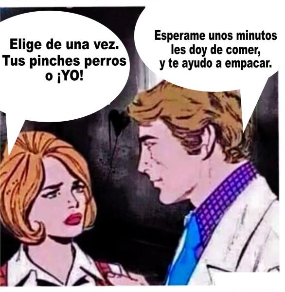 AngelPi123's tweet image. 