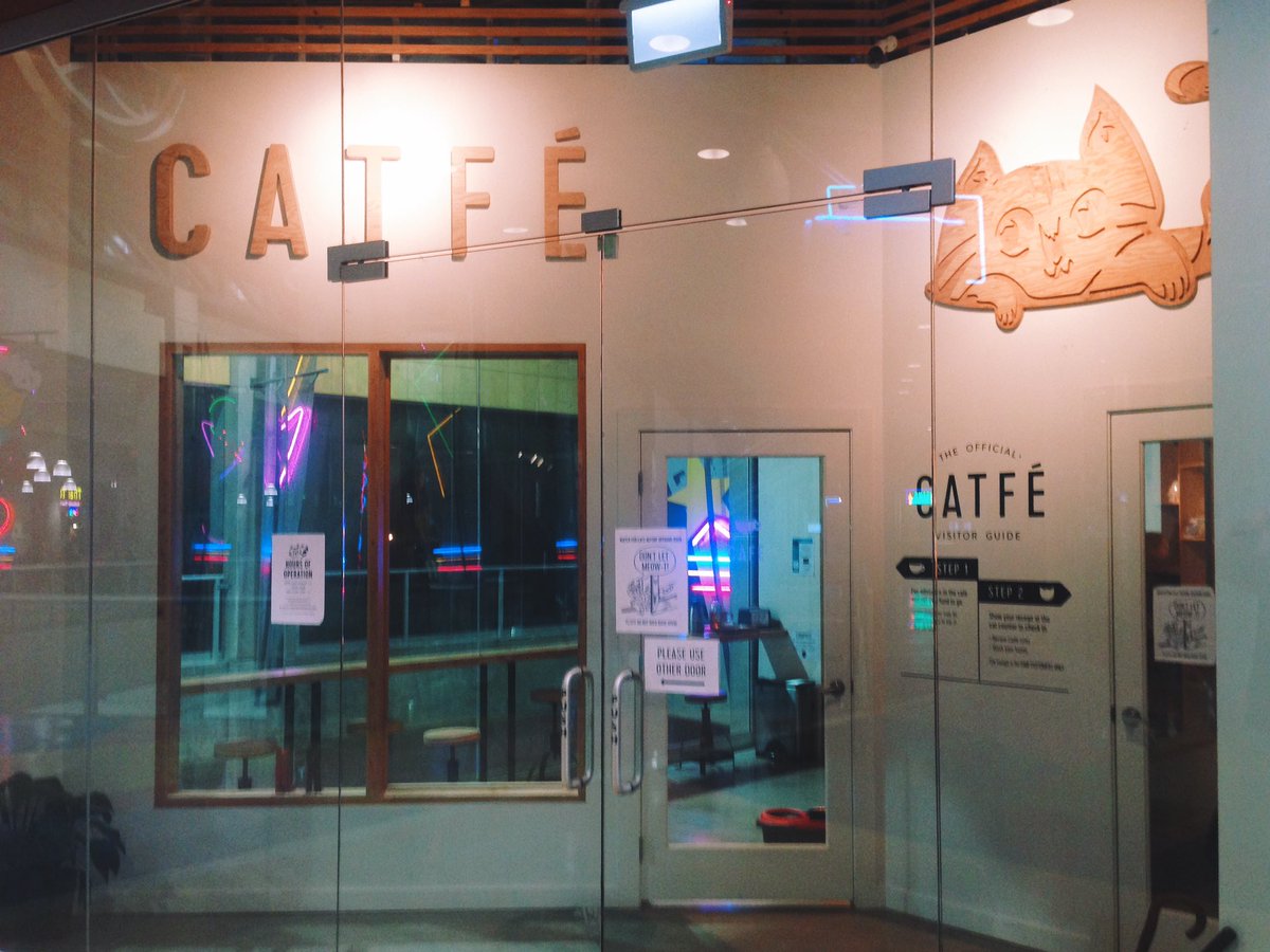 andrew_stock's tweet photo. Seen in Vancouver. Meow 🙀😺😸 #catfe #catsofcoffee #flavourcountry #meow @sprudge https://t.co/Z2zBjB499B