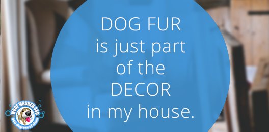 GET USED TO IT! ;) #doghairdontcare