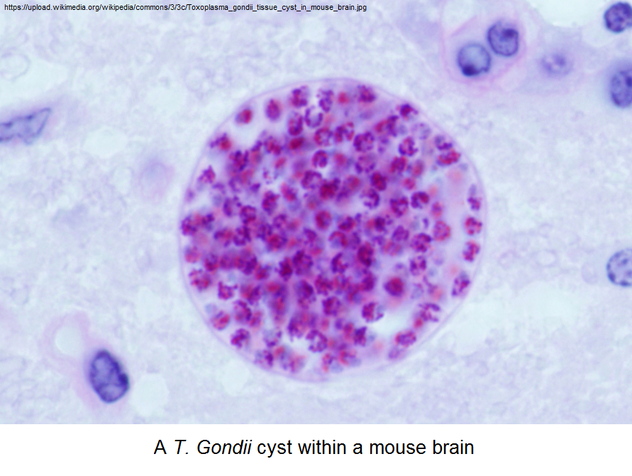 mibrito707's tweet image. #instagramtest