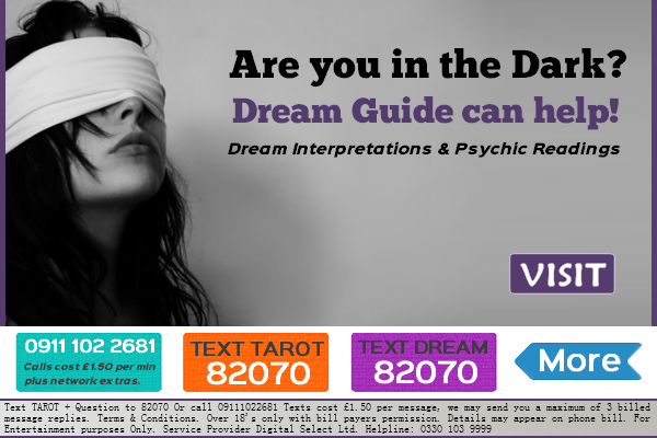 Dream Guide tweet media