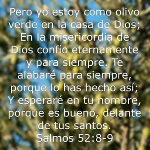 Altagracia Marmol (@altagraciamarm2) on Twitter photo 