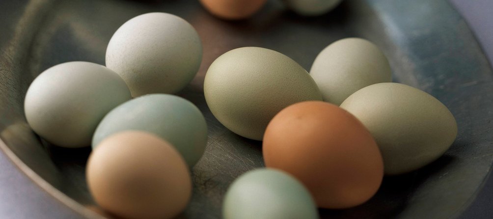 epicurious's tweet image. We figured out the best way to boil an egg so you don't have to: trib.al/6KLfwg2