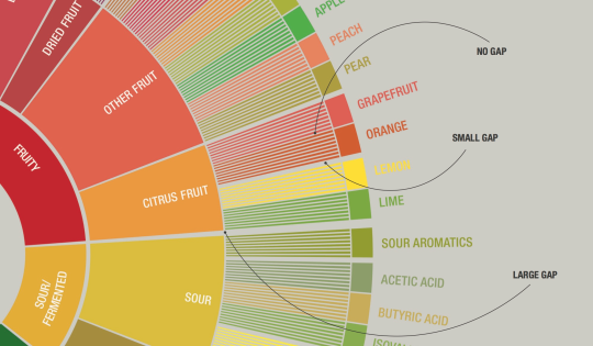 How To Use the Coffee Taster’s Flavor Wheel in 8 Steps #coffee buff.ly/1KLnK5U