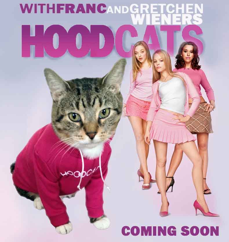 Hoodcatco's tweet photo. On Wednesdays we wear pink https://t.co/wU9feLfmqa