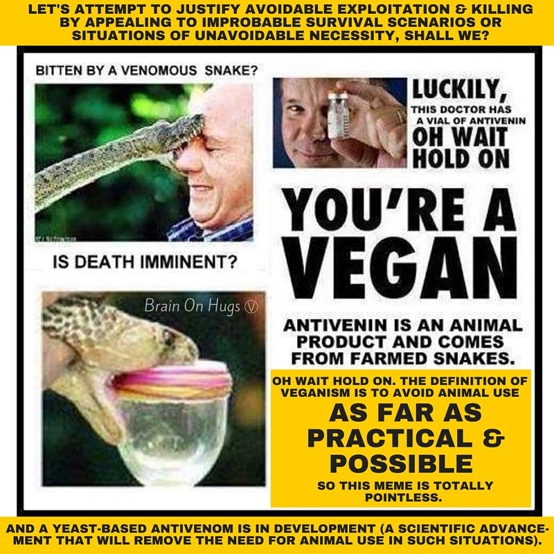 Naughty Vegan Humor Home Facebook